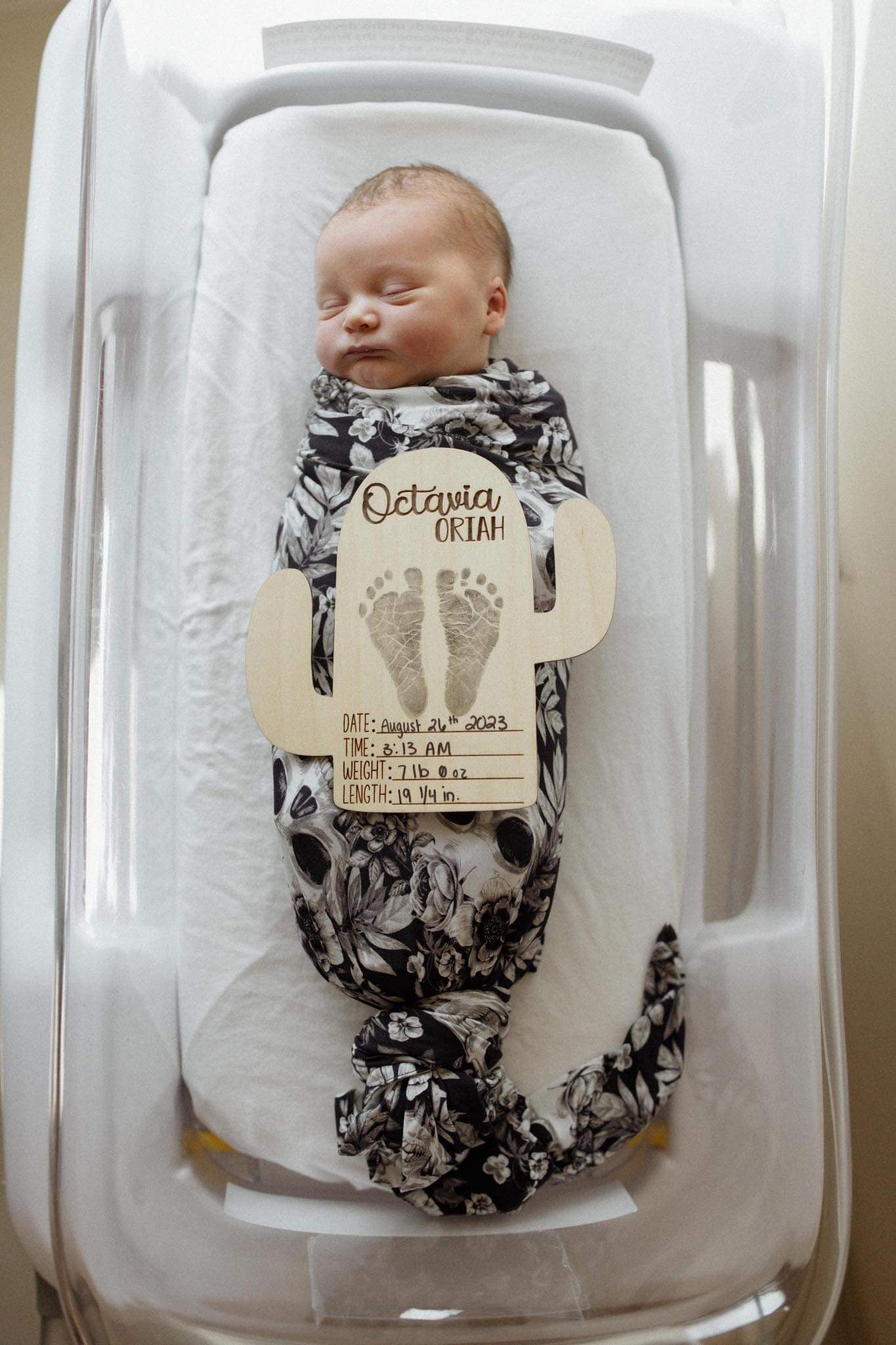 Cactus baby firsts set