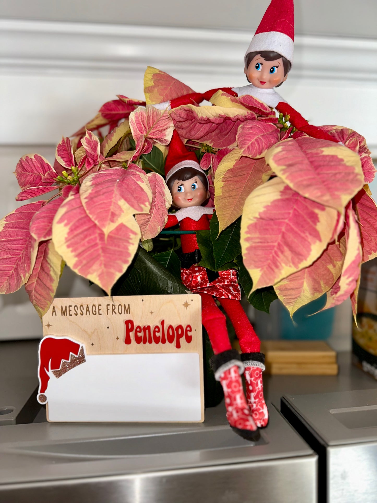 Message from elf sign