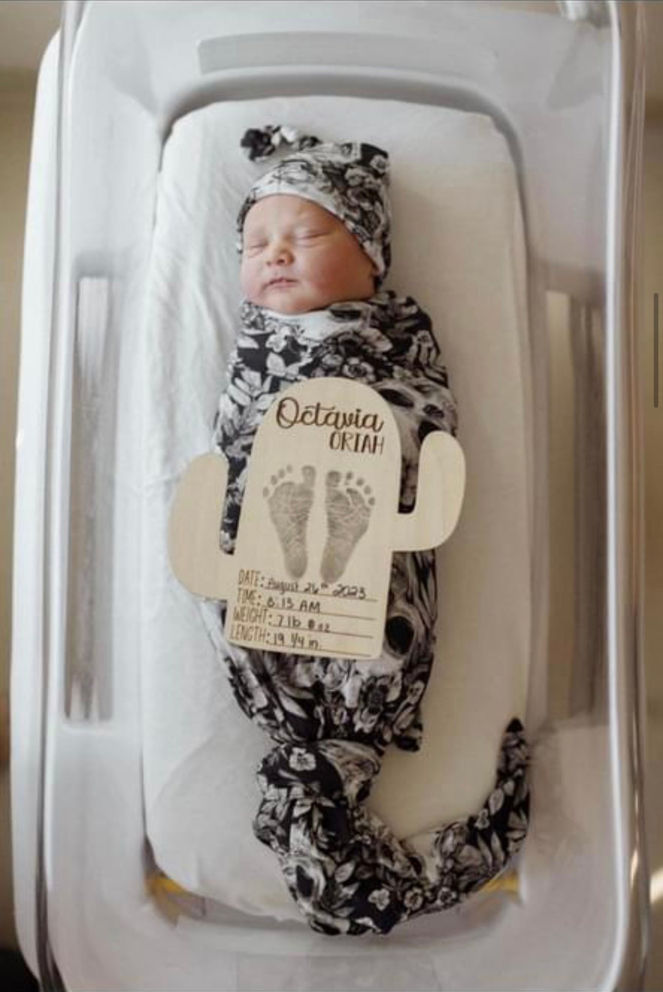 Cactus baby firsts set