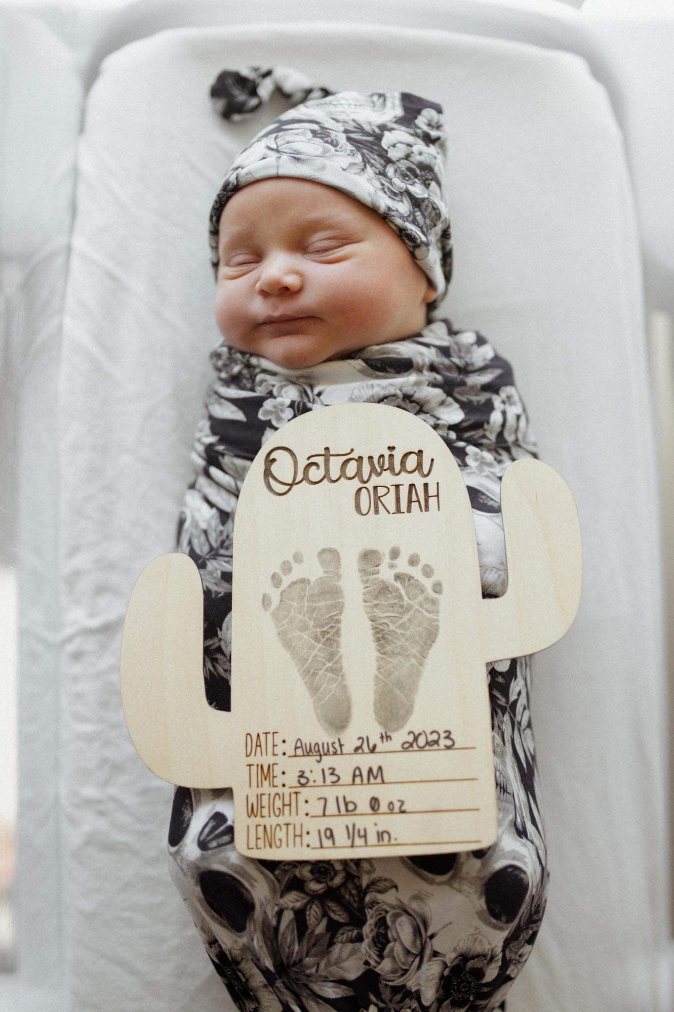 Cactus baby firsts set