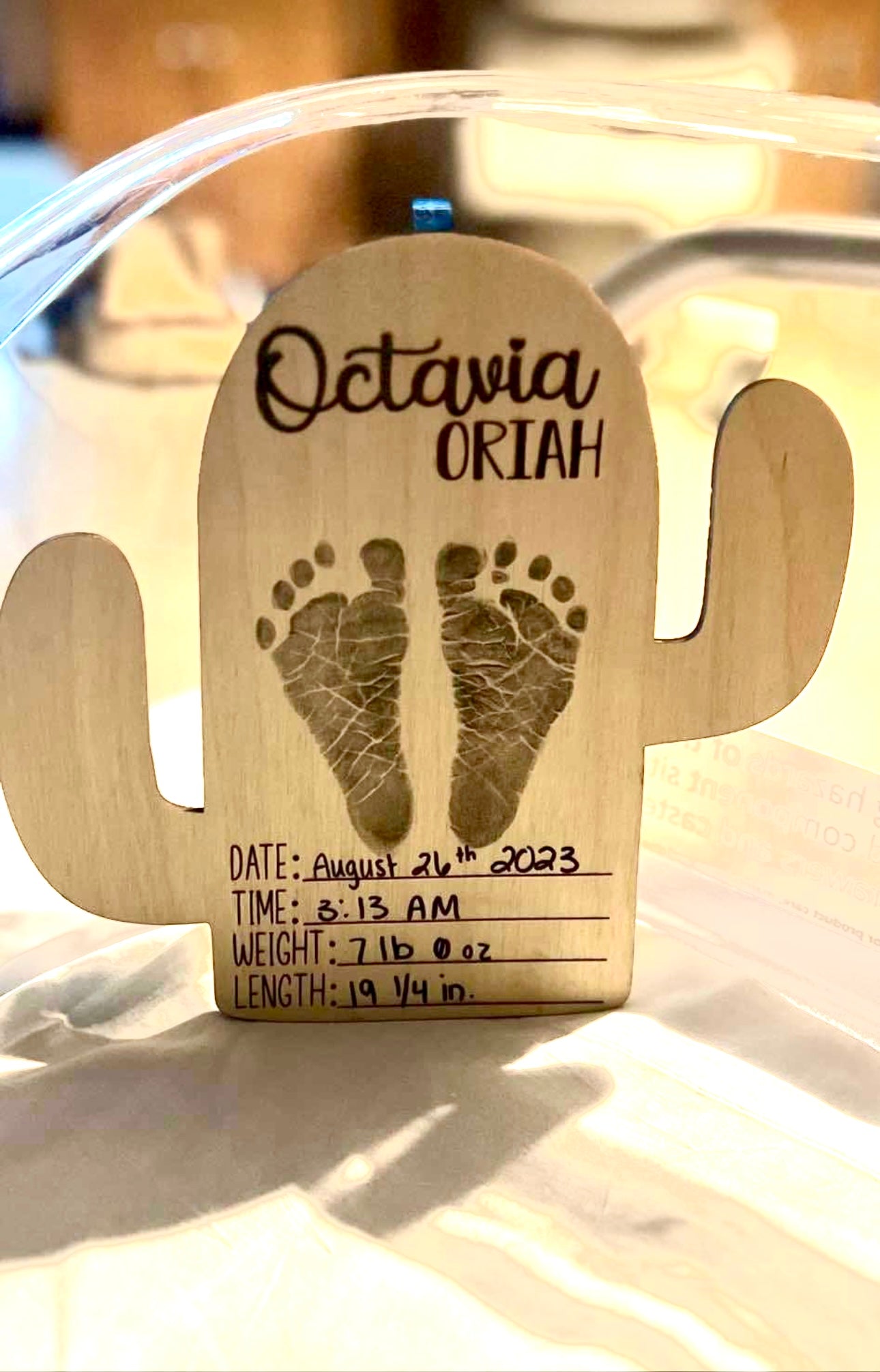 Cactus baby firsts set