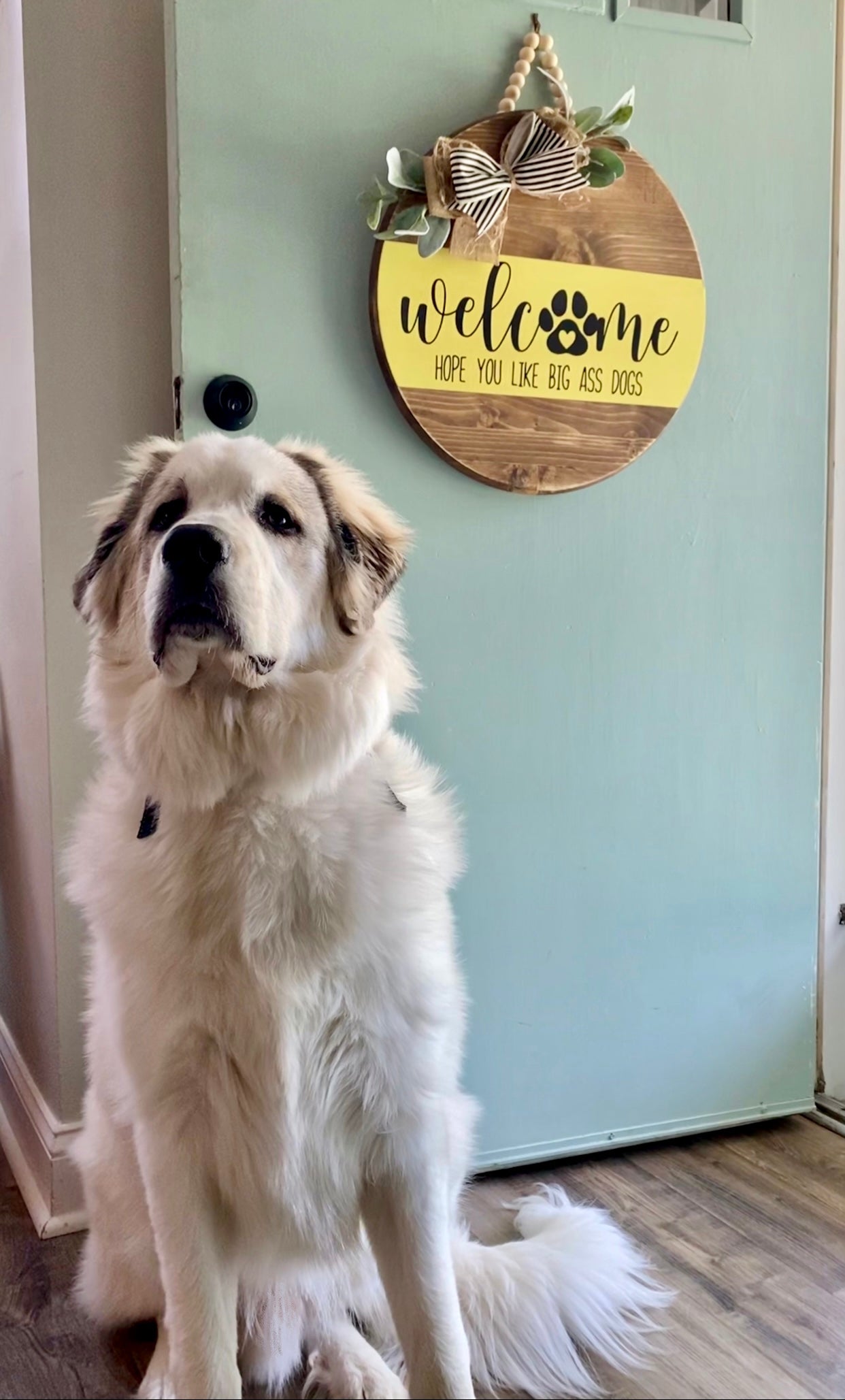 Welcome dog door hanger